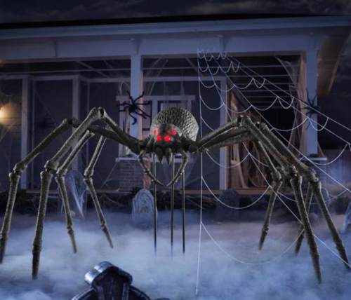Сүнсний баярын өдөр аалз харах нь ямар учиртай вэ